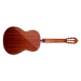 CORT AC100DX (YT)
