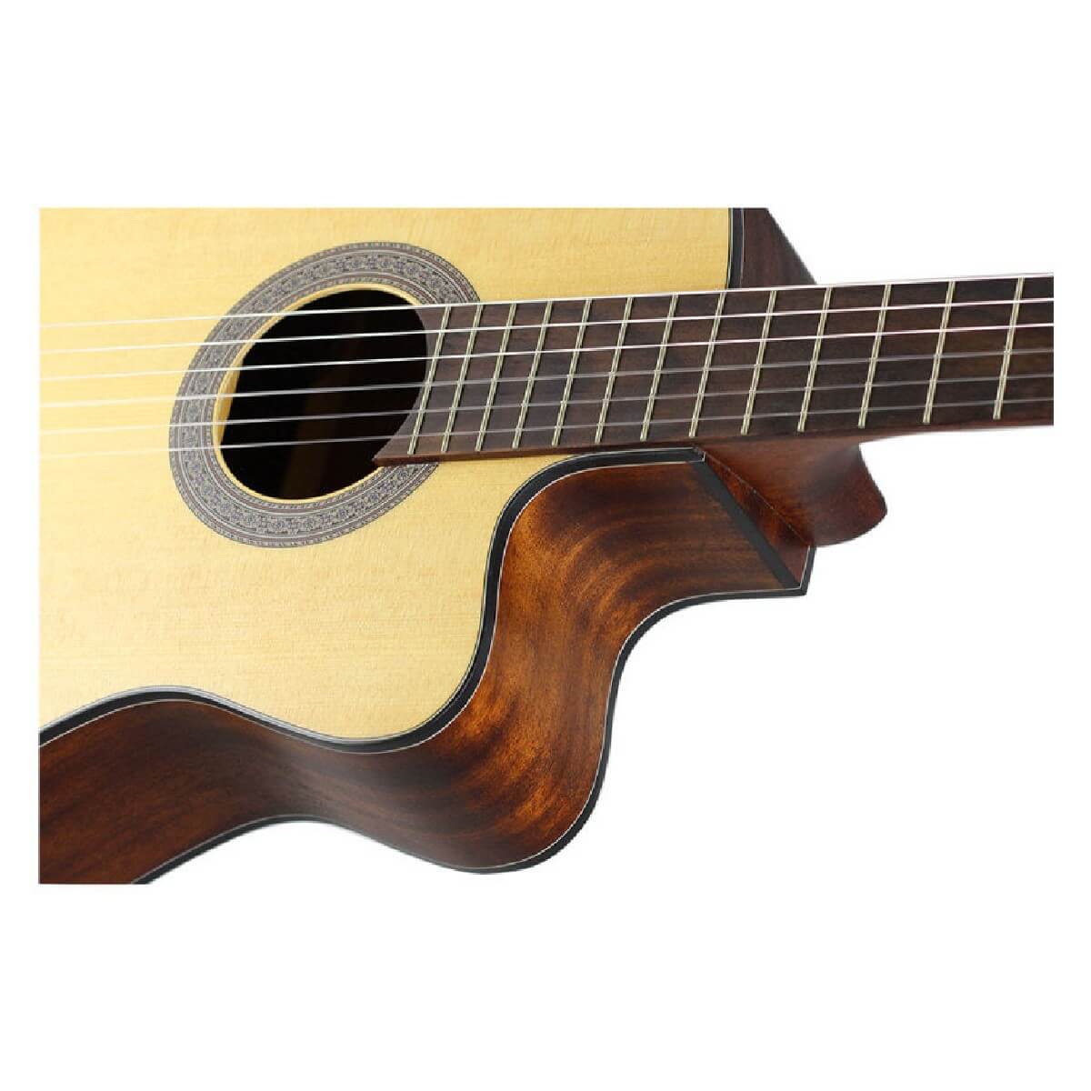 CORT AC120 CE (OP)