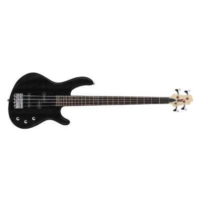 CORT ACTION PJ (OPB)