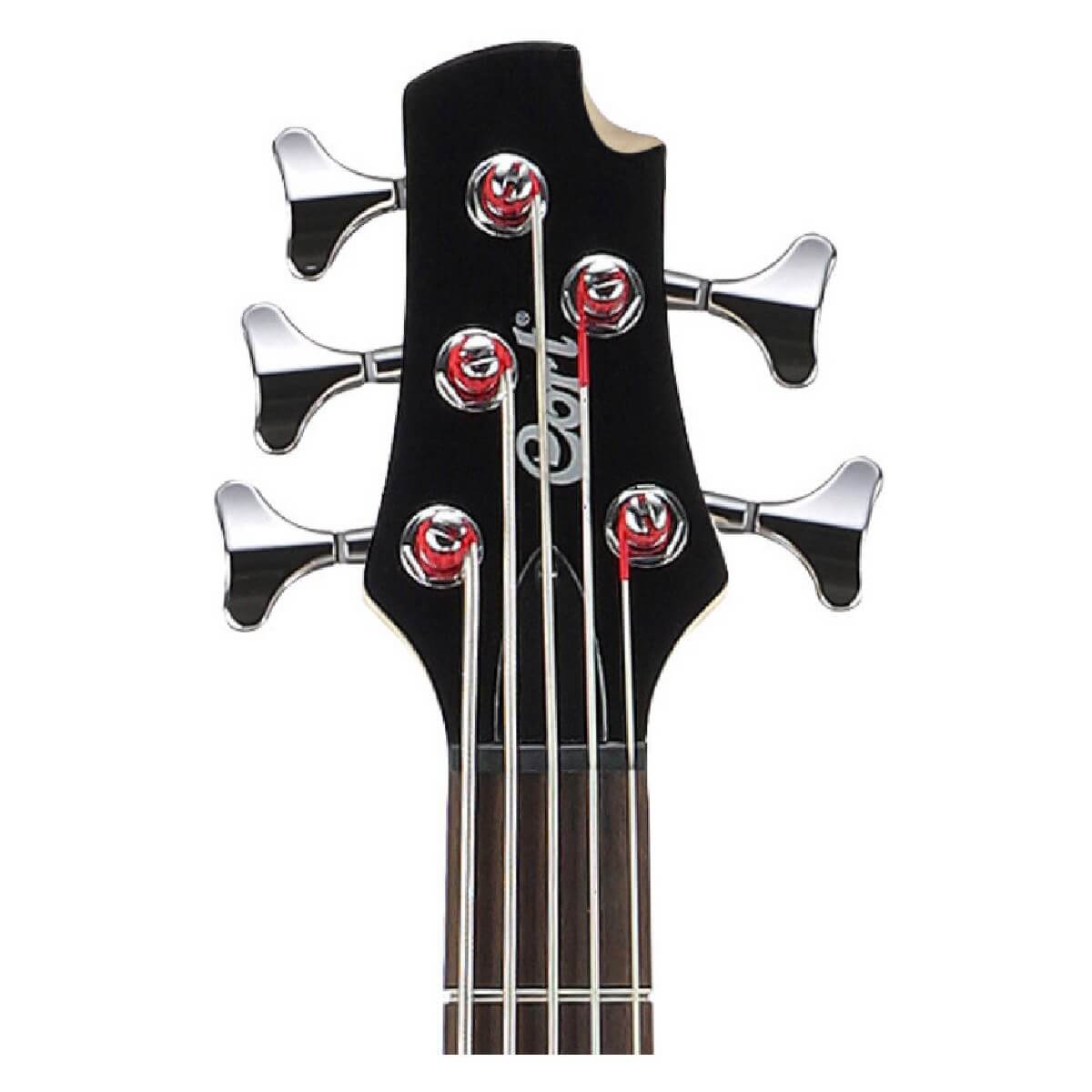 CORT ACTION V PLUS (БК)