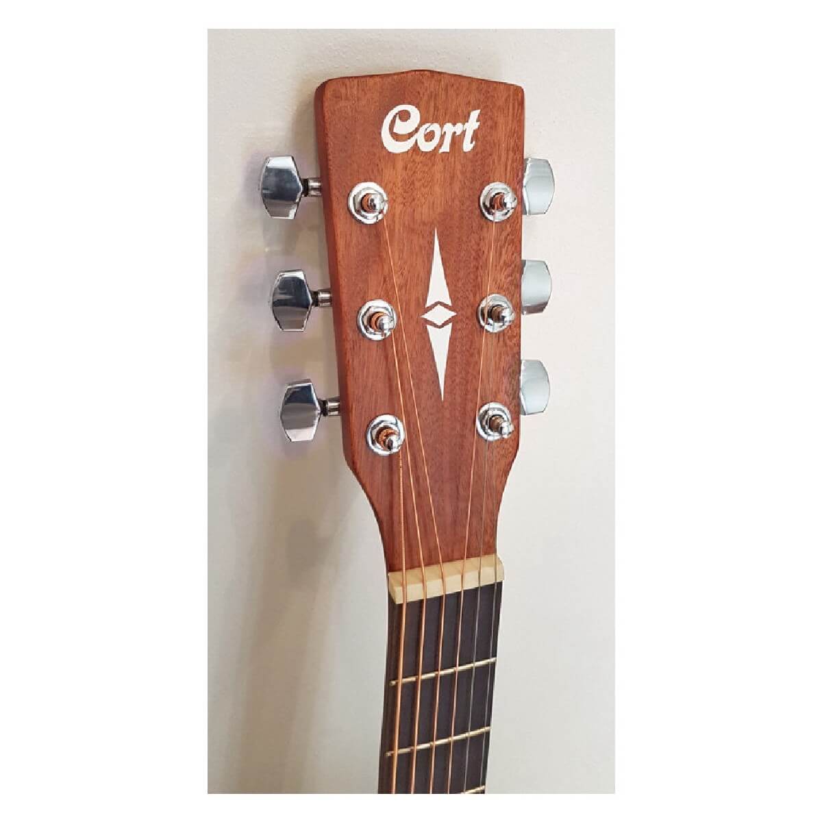 CORT AF505 (OP)
