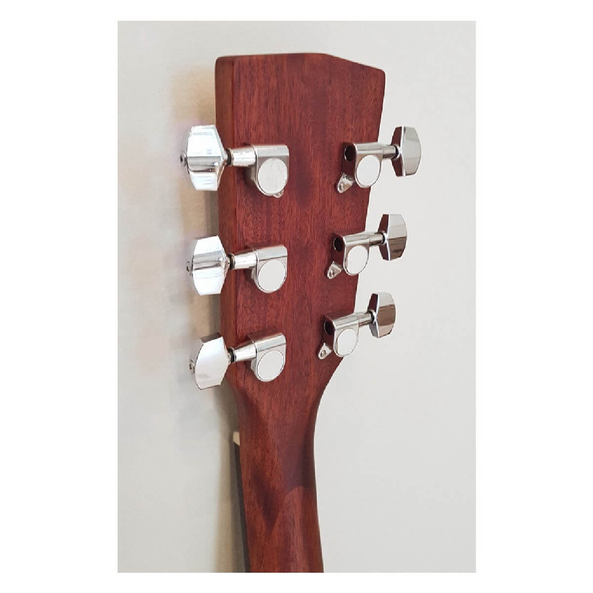 CORT AF505 (OP)