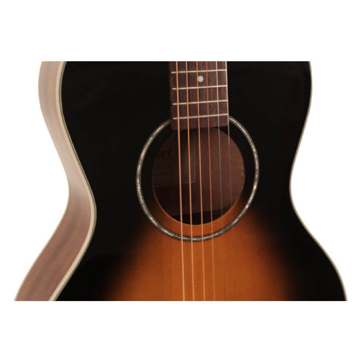 CORT AP550 (VS)