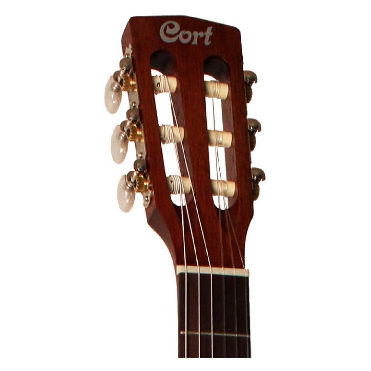 CORT CEC1 (OP)