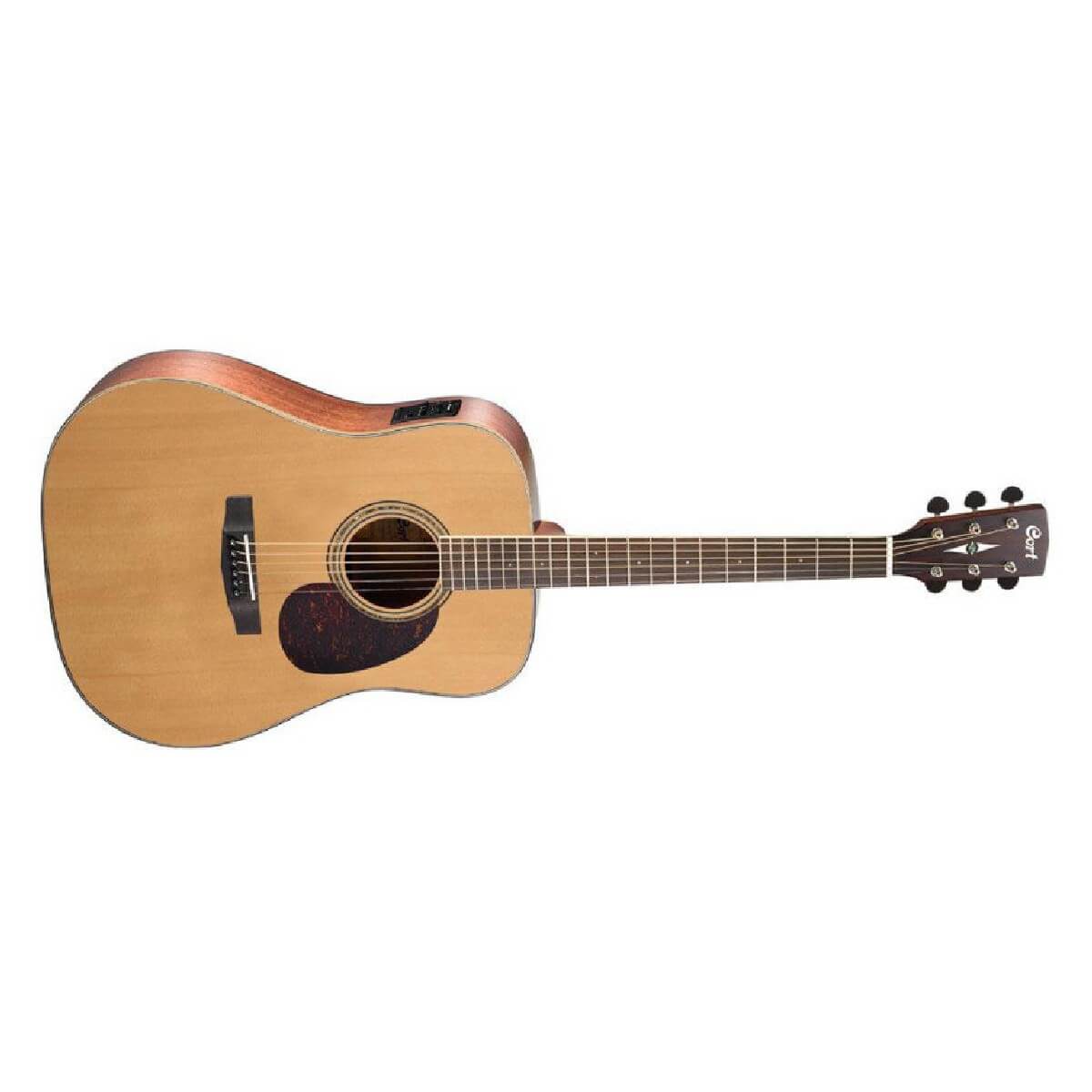 CORT EARTH 100F (NS)