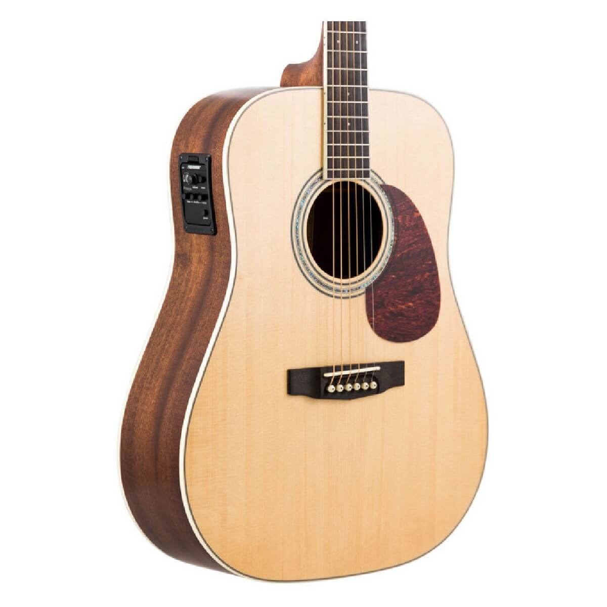 CORT EARTH 100F (NS)