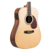 CORT EARTH 100F (NS)