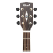 CORT EARTH 100F (NS)