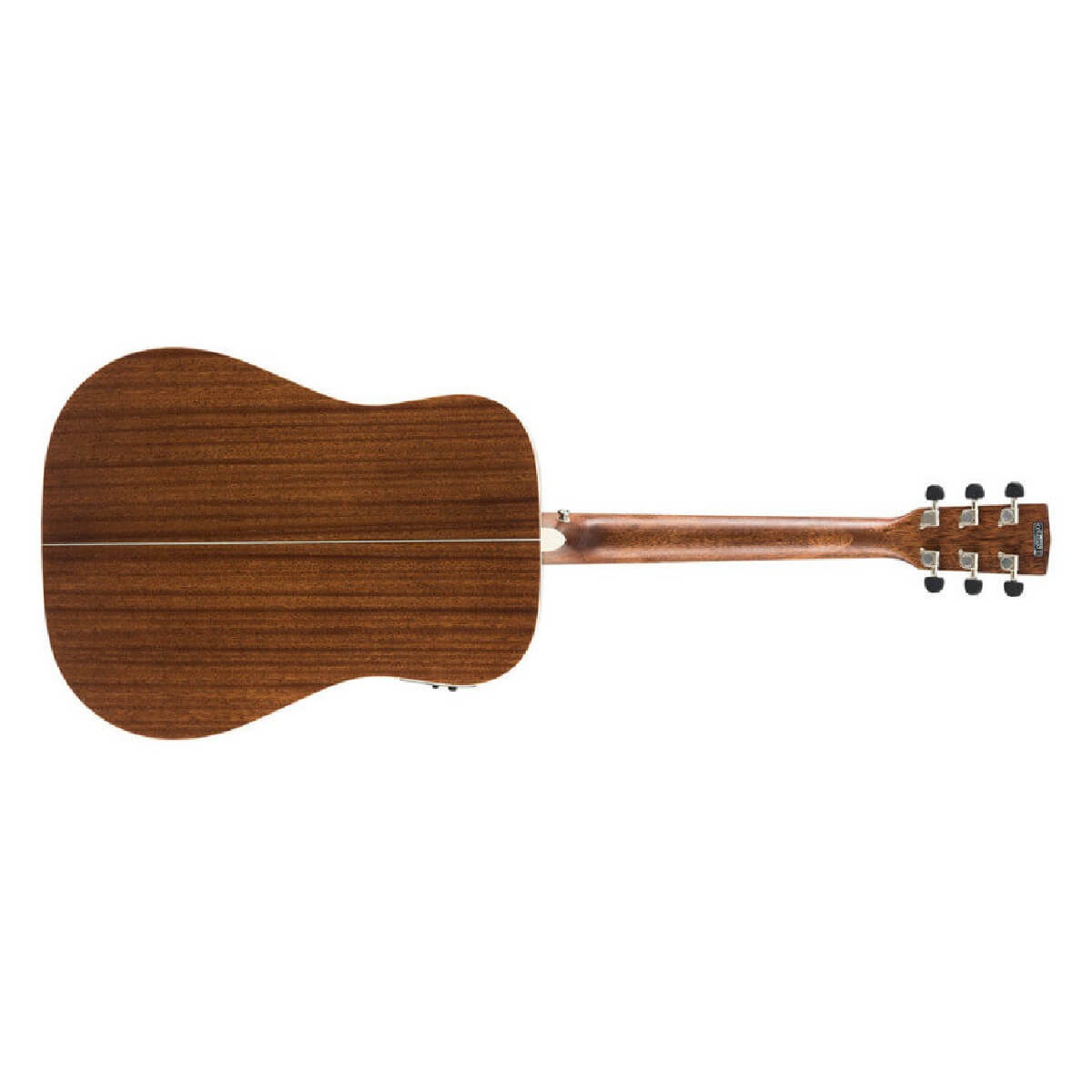 CORT EARTH 100F (NS)