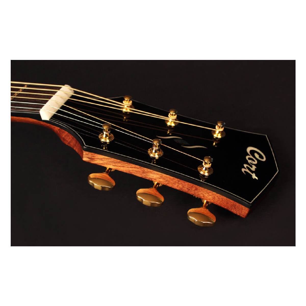 CORT GOLD O6 (NAT)