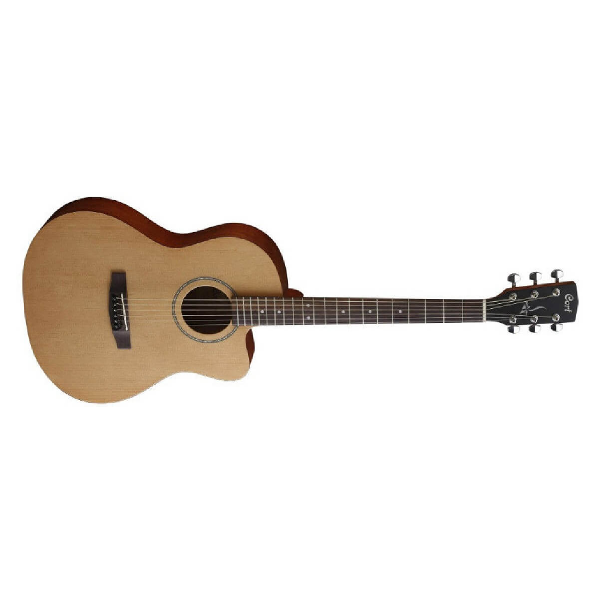 CORT JADE 1 (OP)