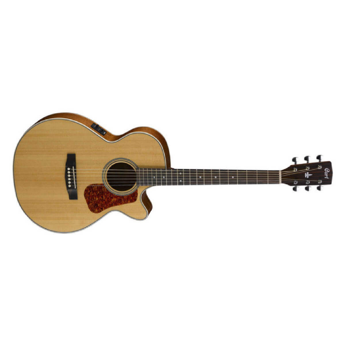 CORT L100F (NS)