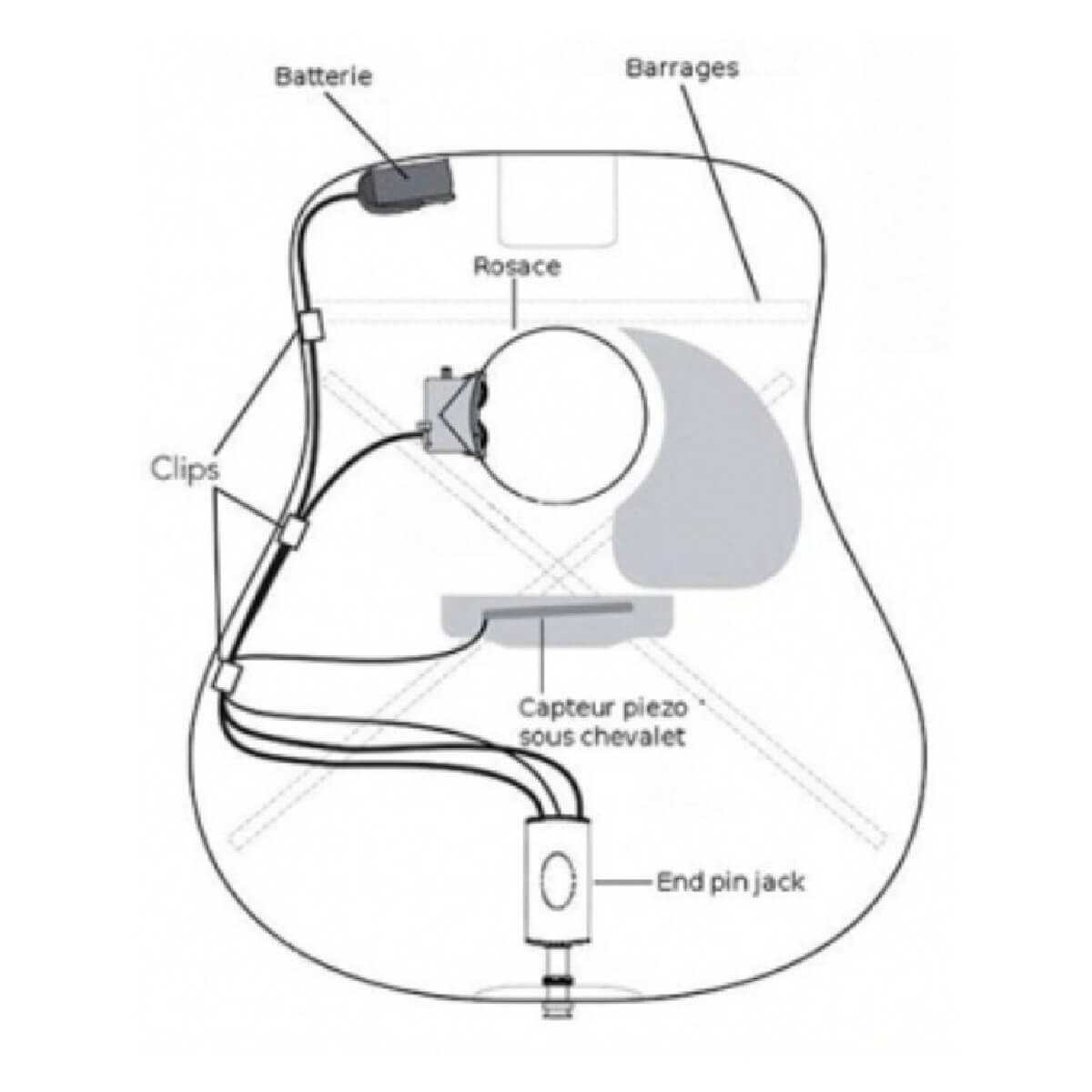 CORT L300VF (NAT)