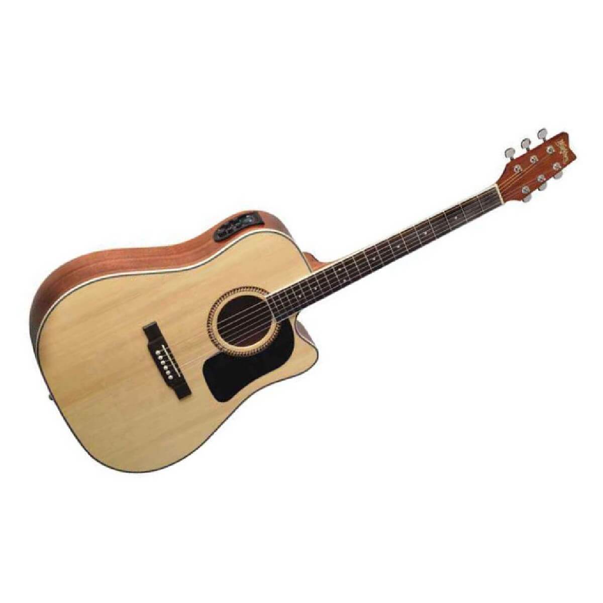 Washburn D10 SCEB