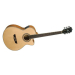 Washburn EA40 SCE