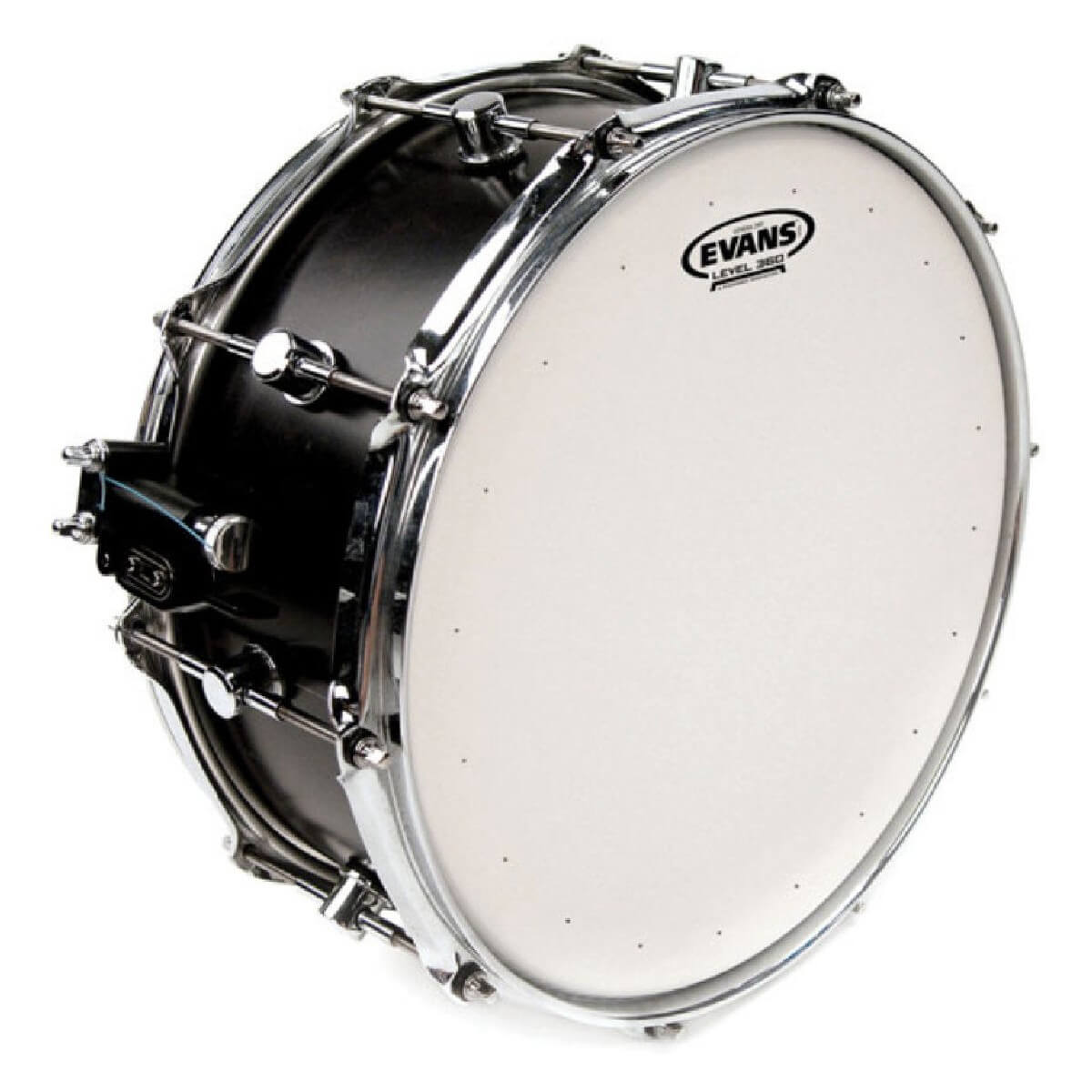 EVANS B14DRY 14'' GENERA DRY