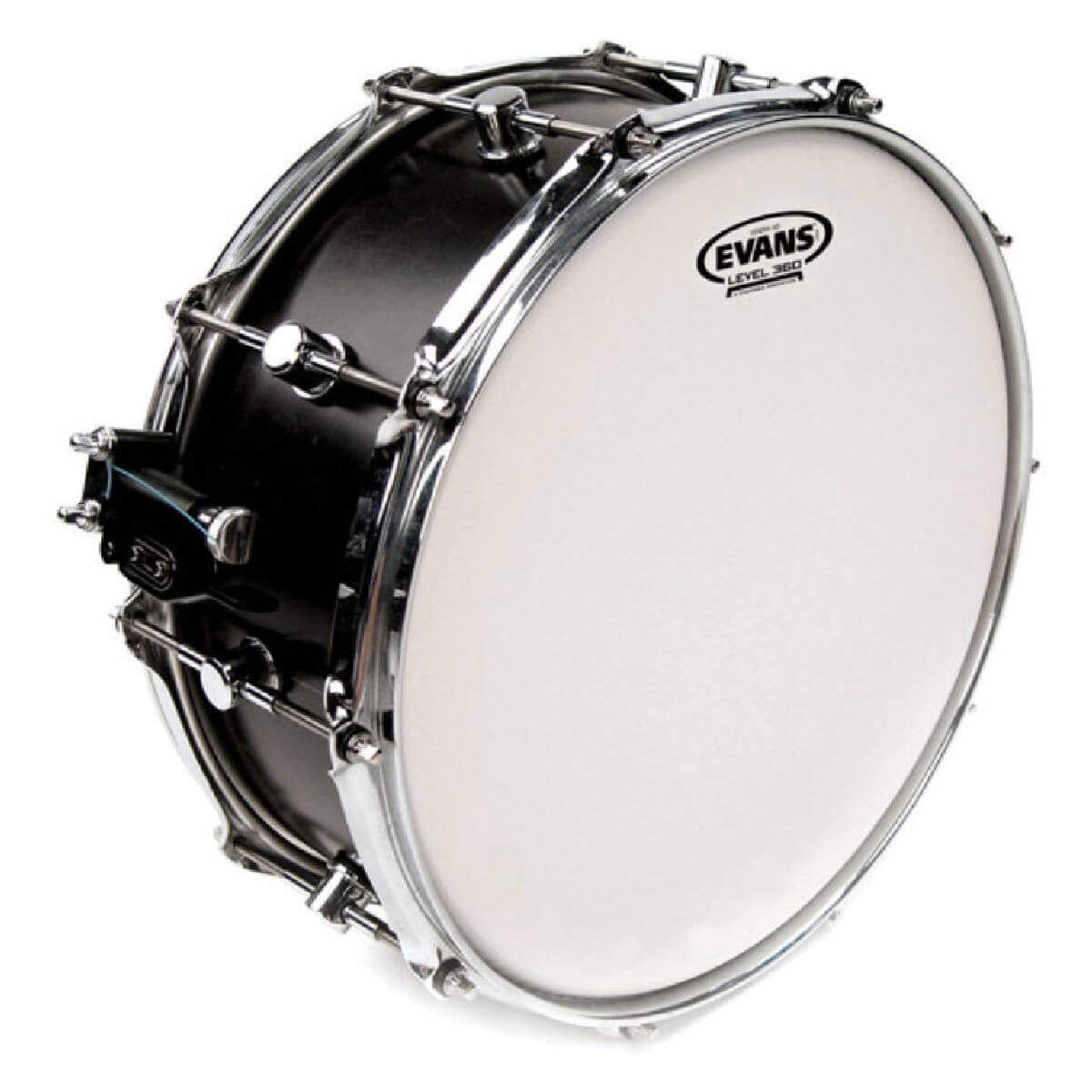 EVANS B14HD 14'' GENERA HD