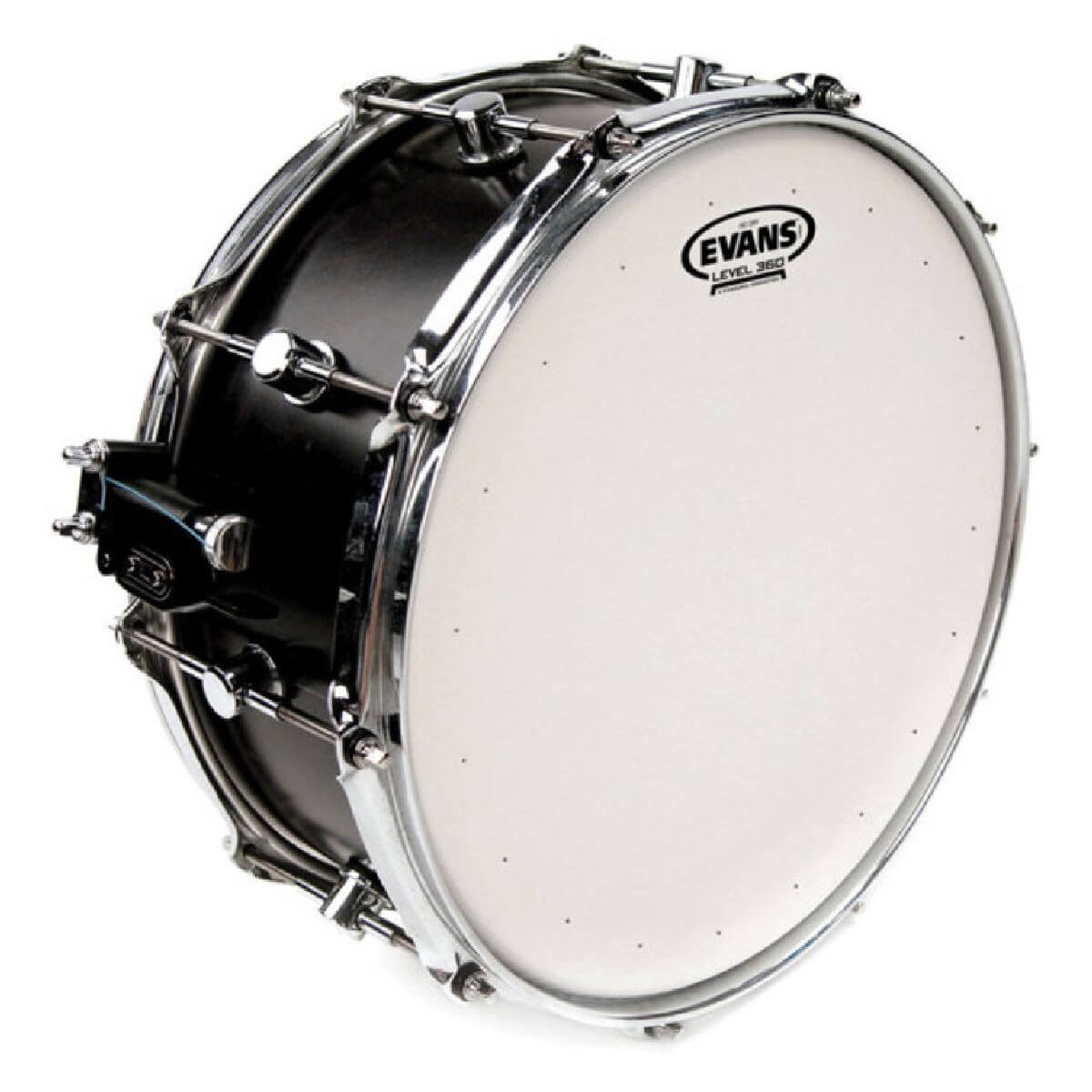 EVANS B14HDD 14'' GENERA HD DRY