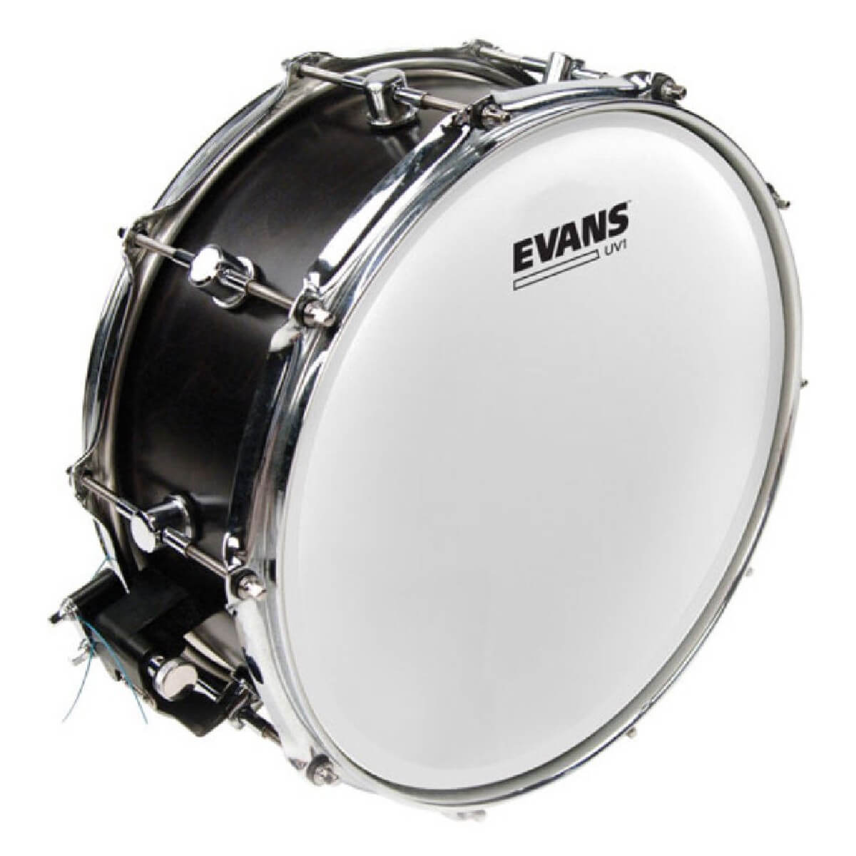 EVANS B14UV1 14'' UV1 COATED