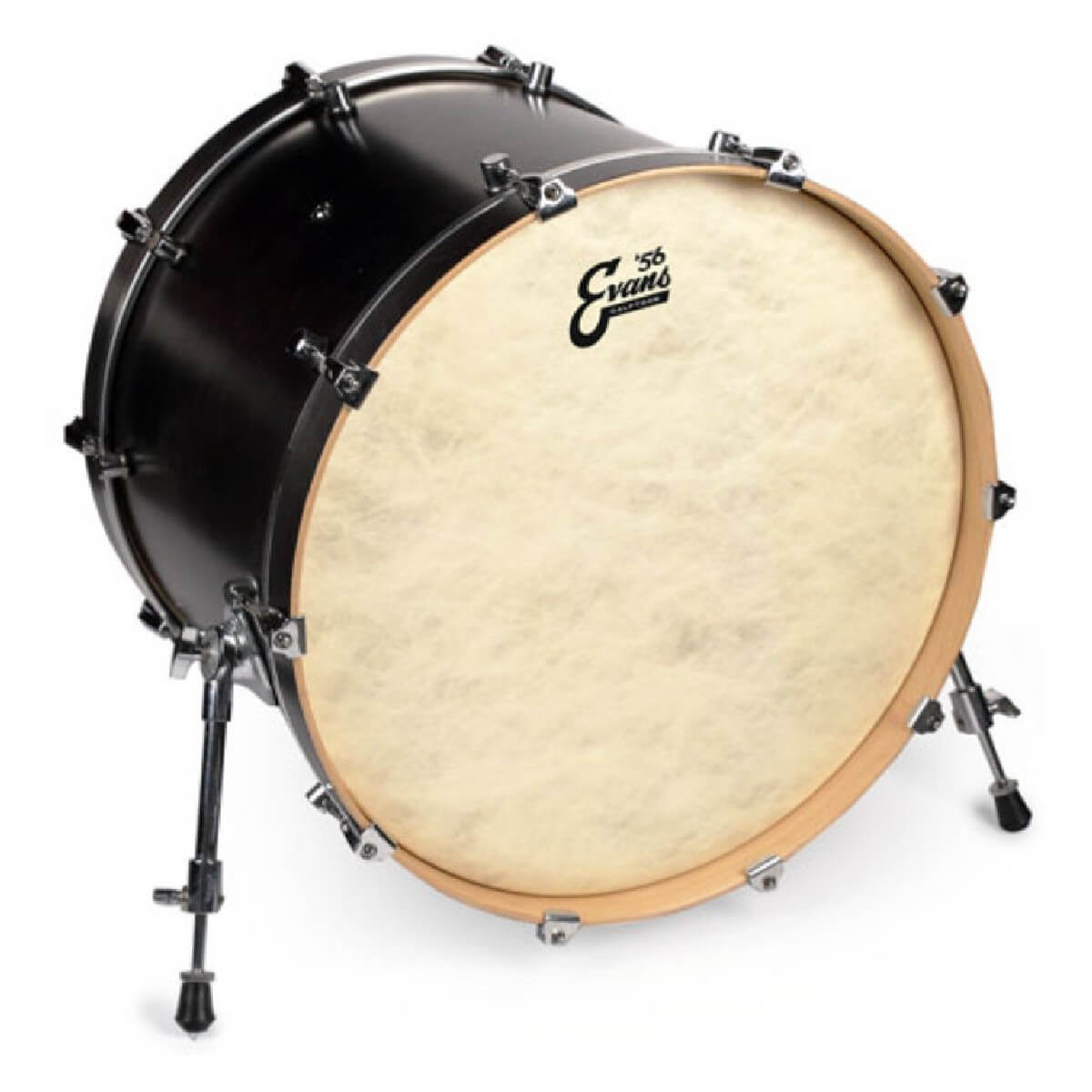 EVANS BD20CT 20'' CALFTONE