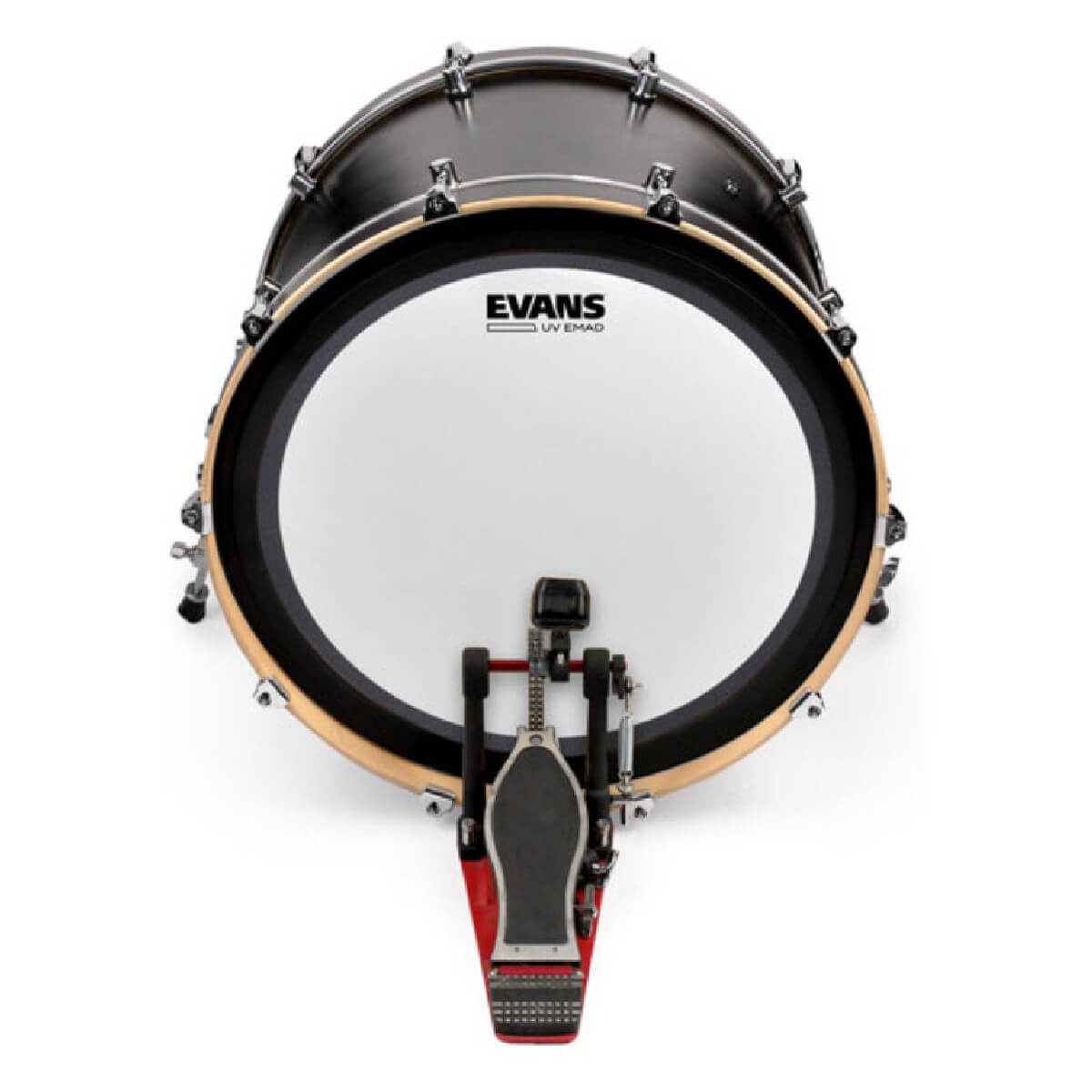 EVANS BD20EMADUV 20'' UV EMAD Бас