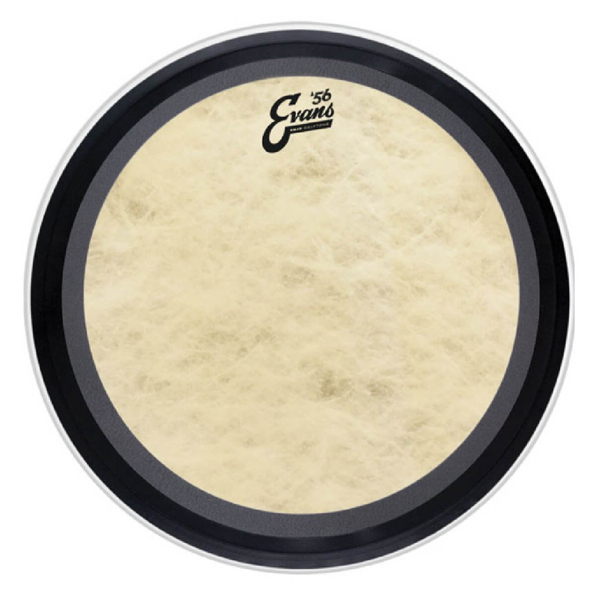 EVANS BD22EMADCT 22'' EMAD CALFTONE