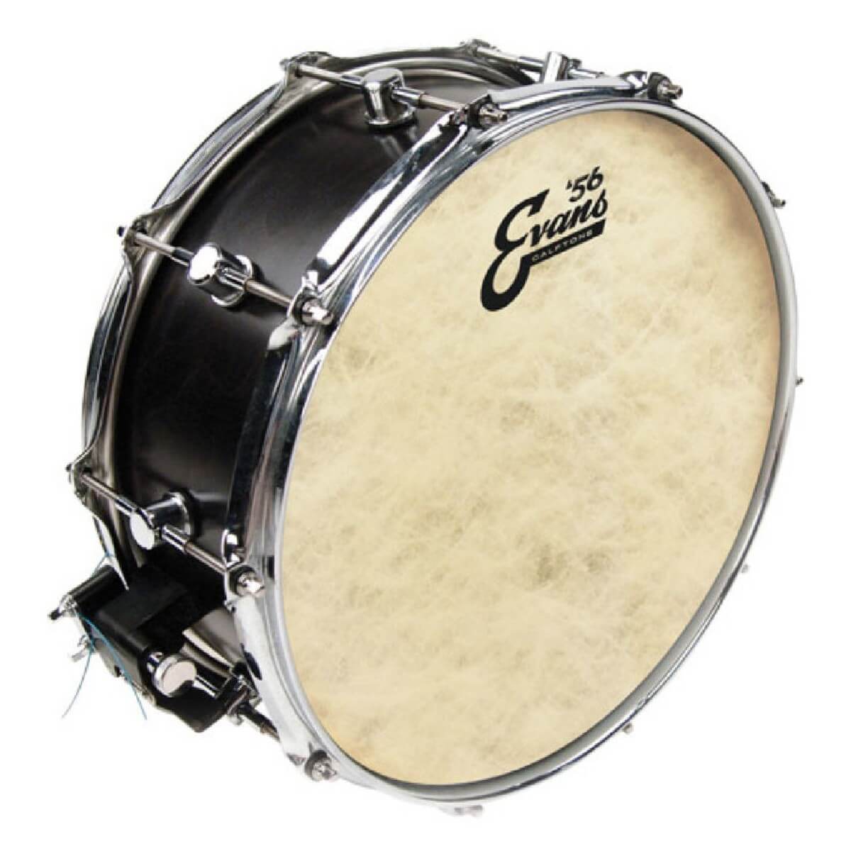 EVANS TT14C7 14'' CALFTONE TOM