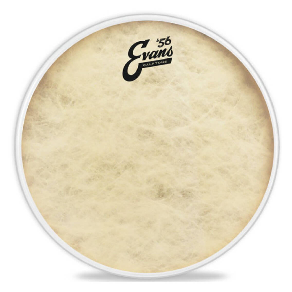 EVANS TT16C7 16'' CALFTONE TOM