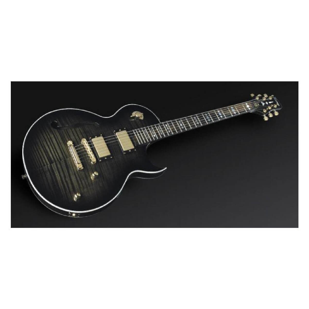 FRAMUS AK1974 CUSTOM (BLK)