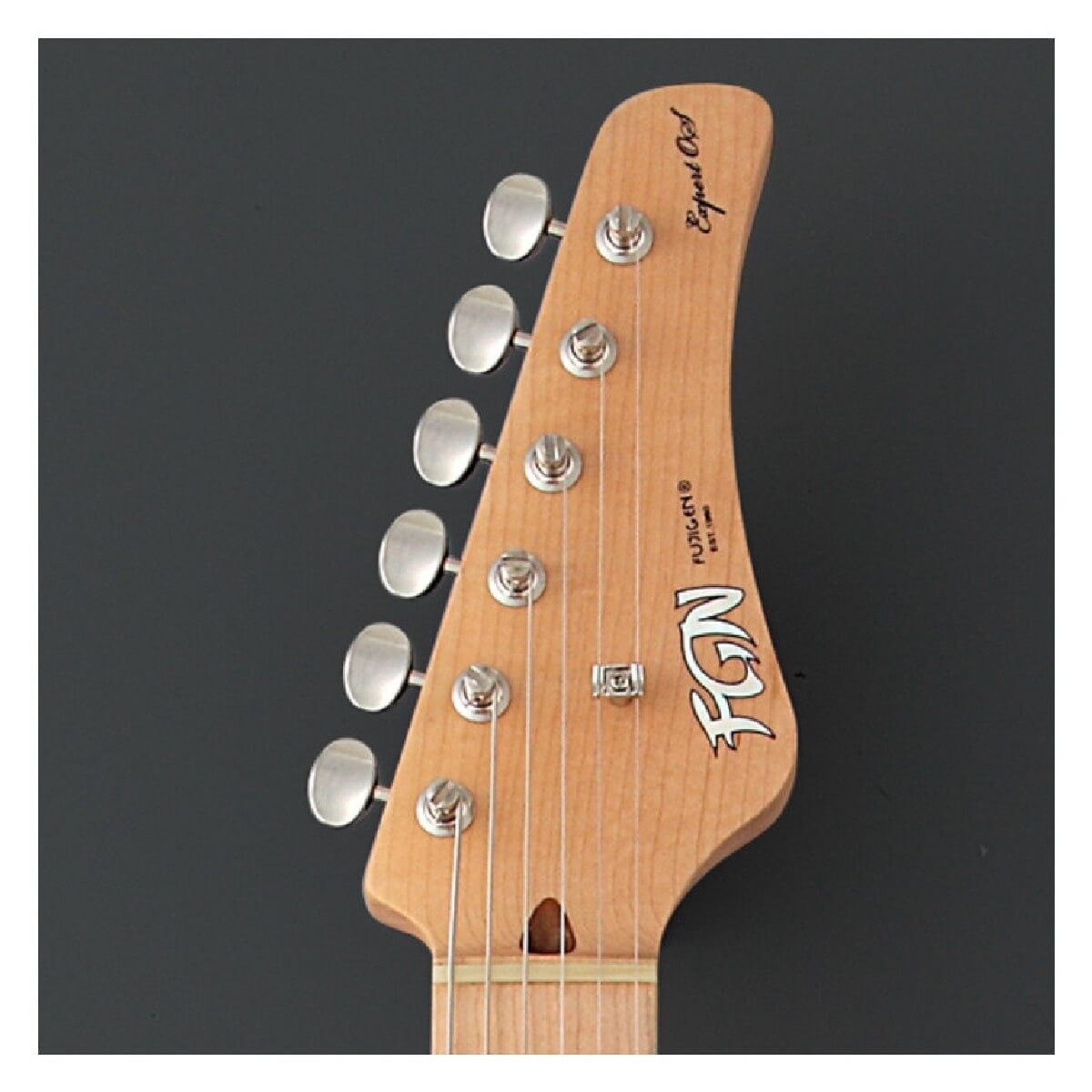 СЕРІЯ FUJIGEN EOS-ASH-M ODYSSEY EXPERT (2TS)