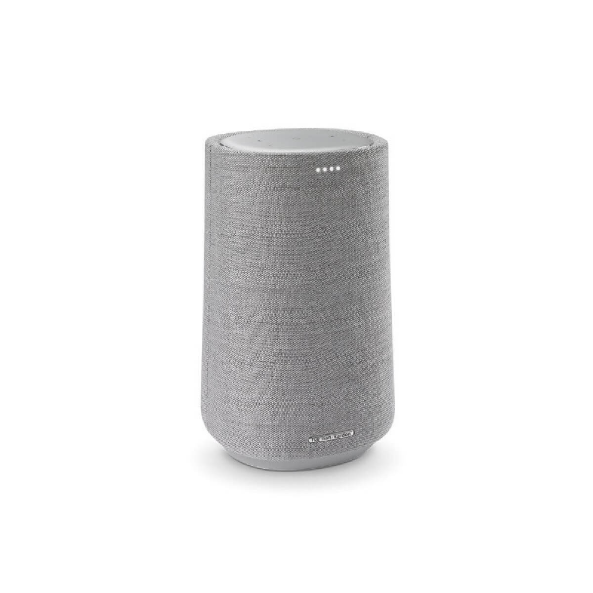 HARMAN HKCITA100MKIIGRYEU