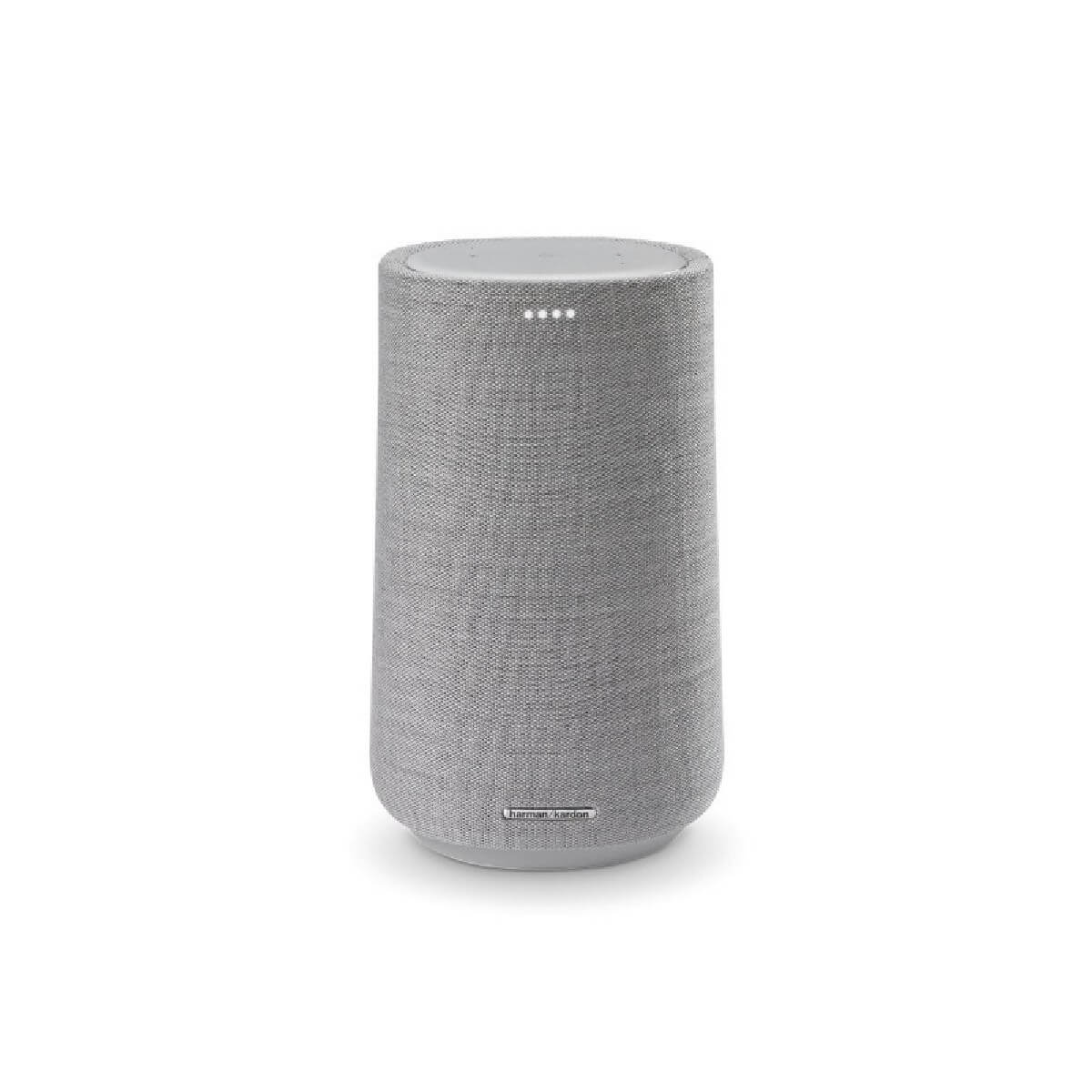 HARMAN HKCITA100MKIIGRYEU