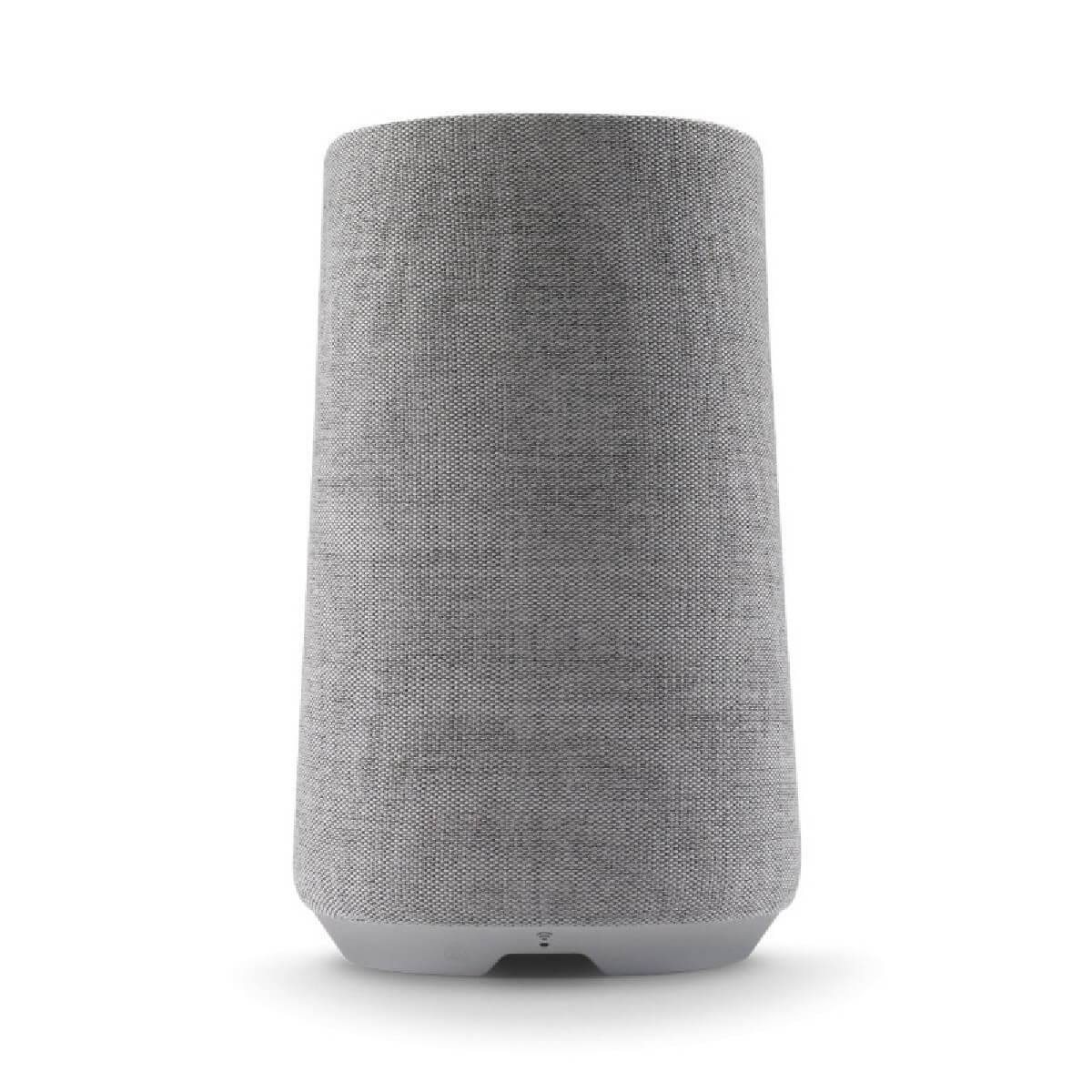 HARMAN HKCITA100MKIIGRYEU