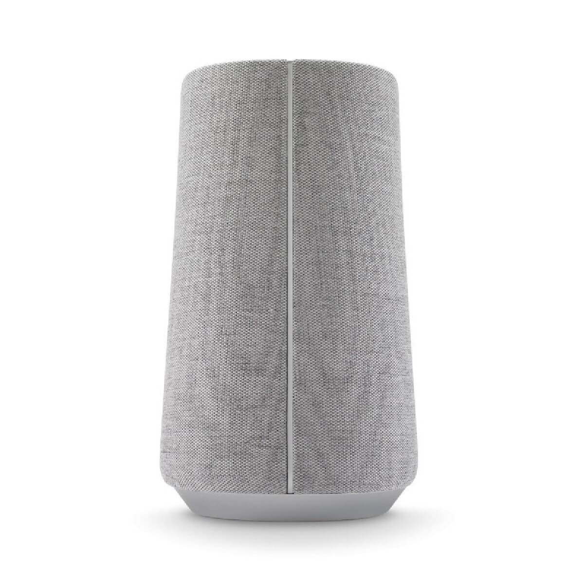 HARMAN HKCITA100MKIIGRYEU