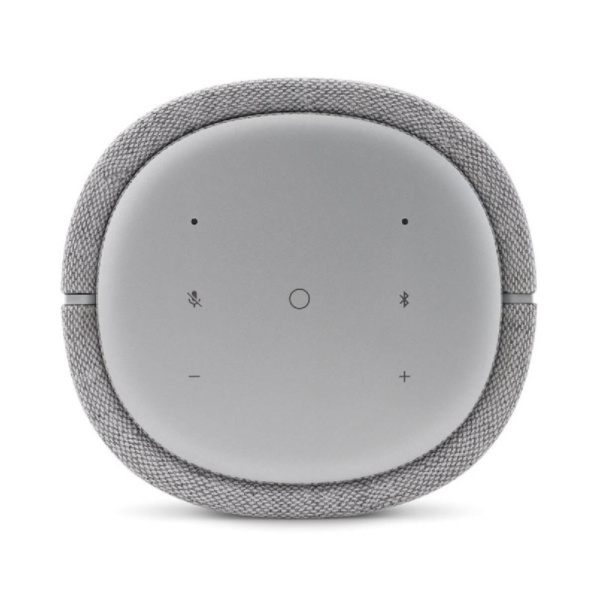 HARMAN HKCITA100MKIIGRYEU
