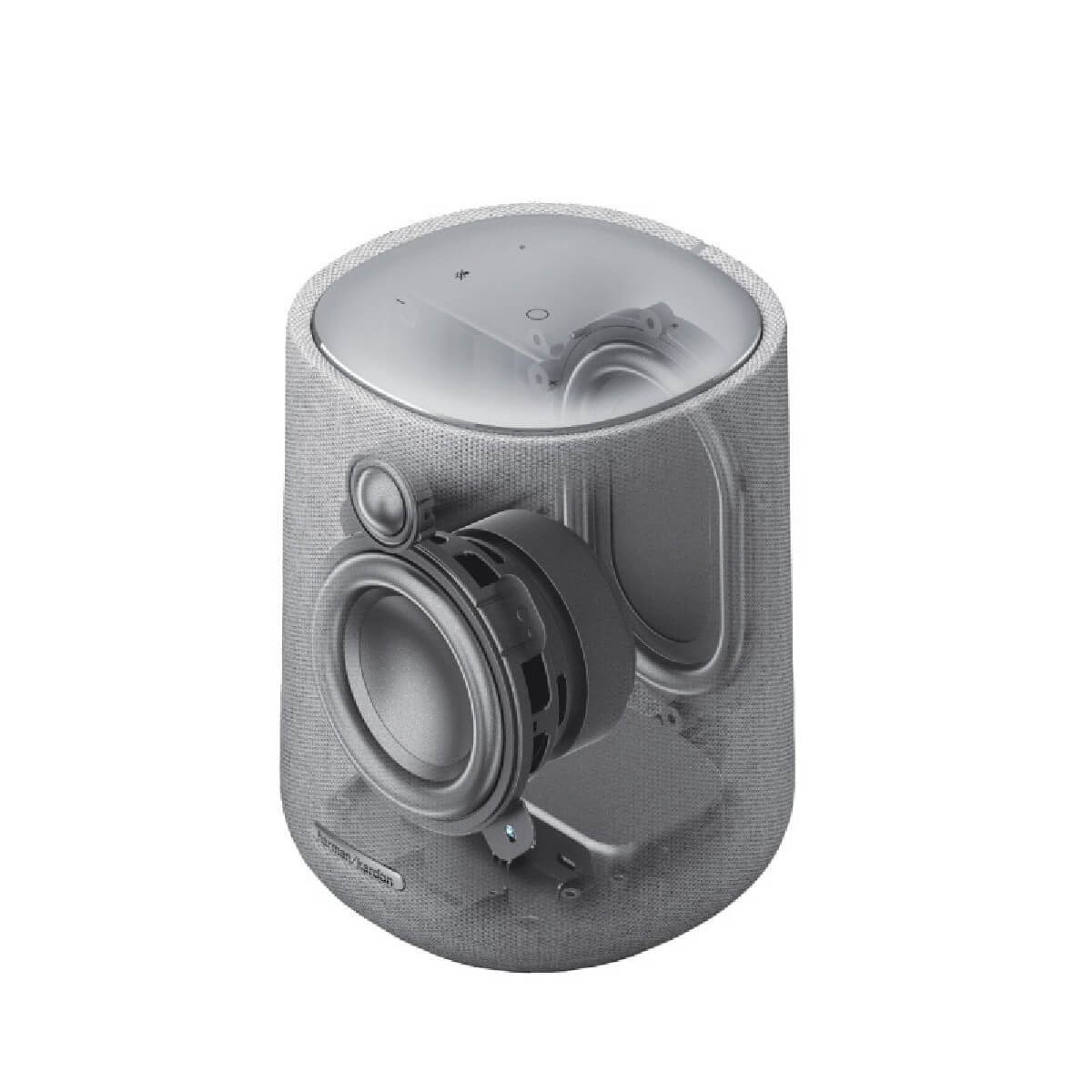 HARMAN HKCITATION300GRYEU