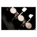 IBANEZ RGAIX7FM TGF Електрогітара