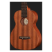 IBANEZ UKC10 Укулеле
