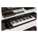 IK MULTIMEDIA iRig Keys 2 Pro