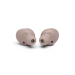 JBL LIVEFRNCPTWSR