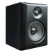 Студійний монітор Kurzweil KS-50A