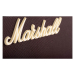 MARSHALL AS50D-E Гітарний комбопідсилювач