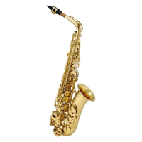 MAXTONE SXC51 A/L