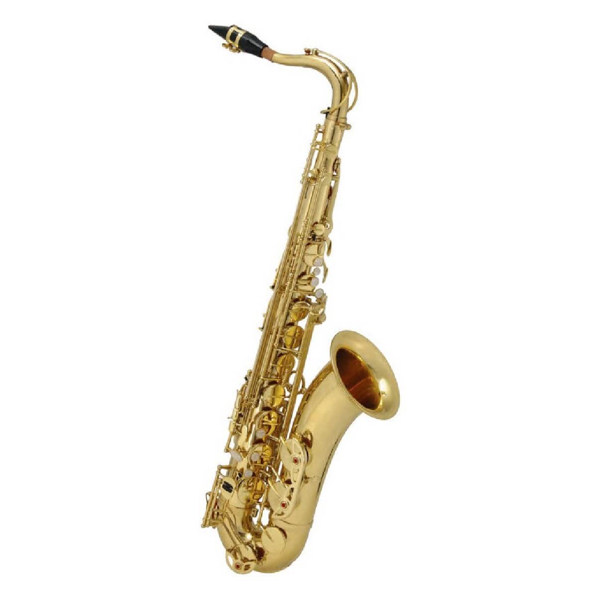 MAXTONE SXC51 T/L