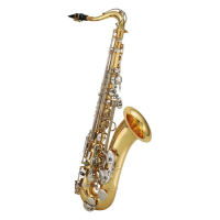 MAXTONE SXC53 T/LN