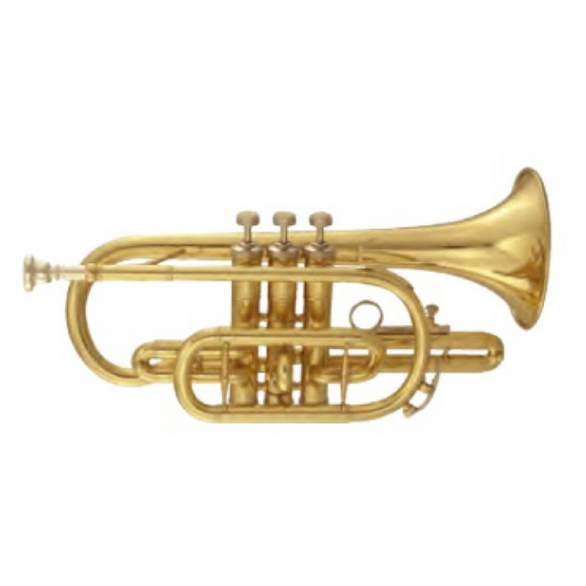 MAXTONE TCC53L