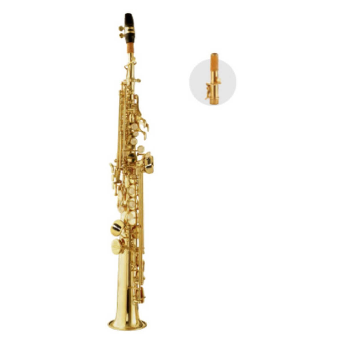 MAXTONE TSC30L