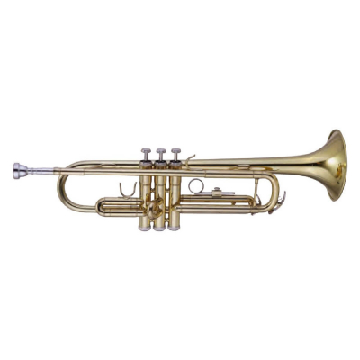 MAXTONE TTC23L
