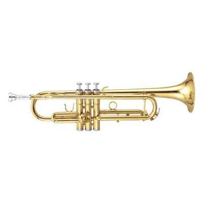 MAXTONE TTC60L2 (TTC234L)