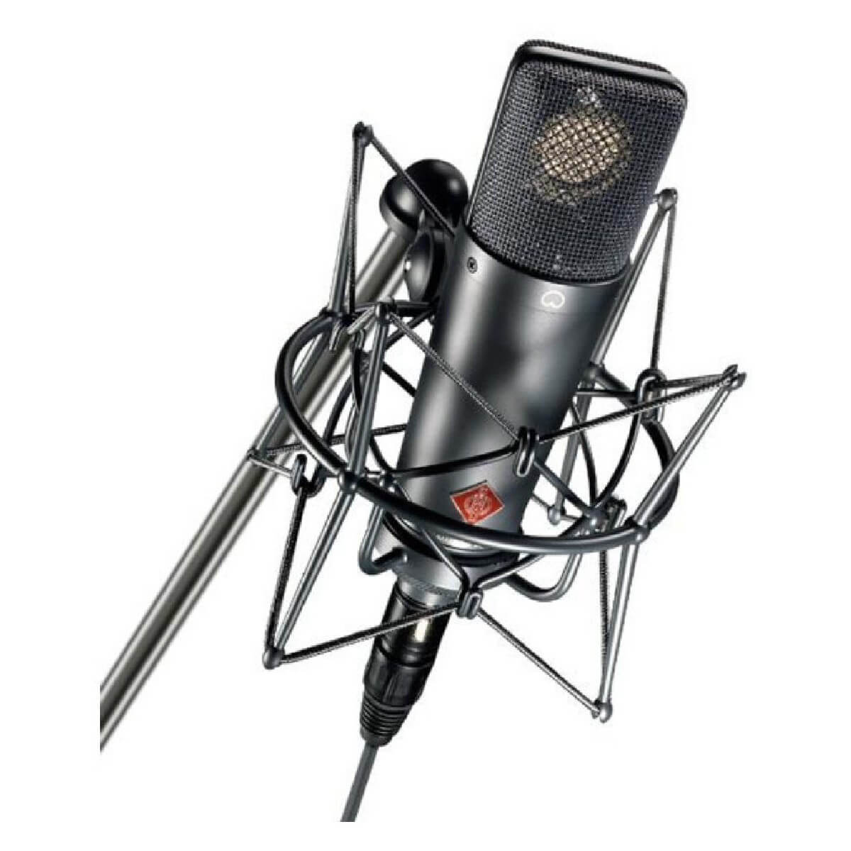 Мікрофон Neumann TLM 193